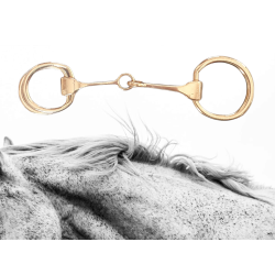 Bitt spenne til skjerf