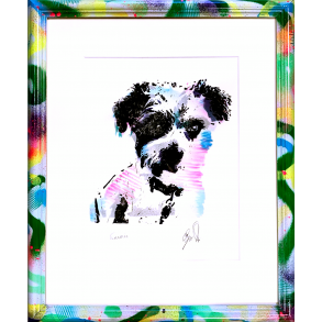 Jack Russell med tagget ramme