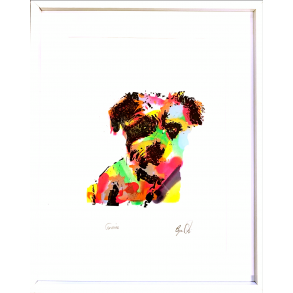 Jack Russell i farger med hvit ramme