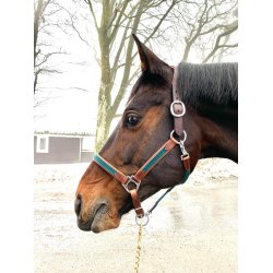 Timbio Anatomisk Lrgrime 